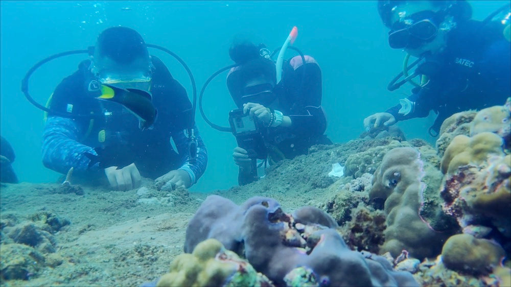 Xiaomi carries out ocean protection activity filmed by Xiaomi 12 Pro with DIVEVOLK SeaTouch 4 Max housing