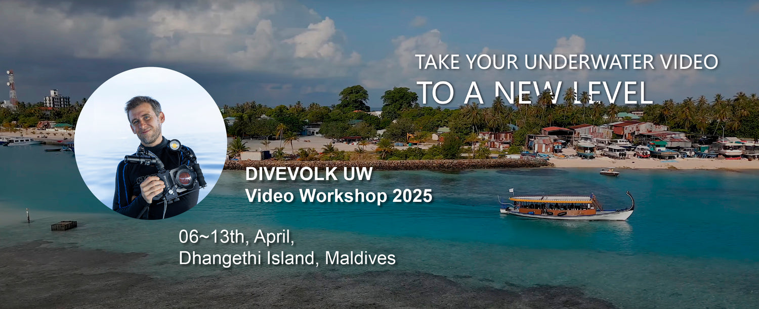 DIVEVOLK Workshop 2025 ｜ Take Your Underwater Video to A New Level