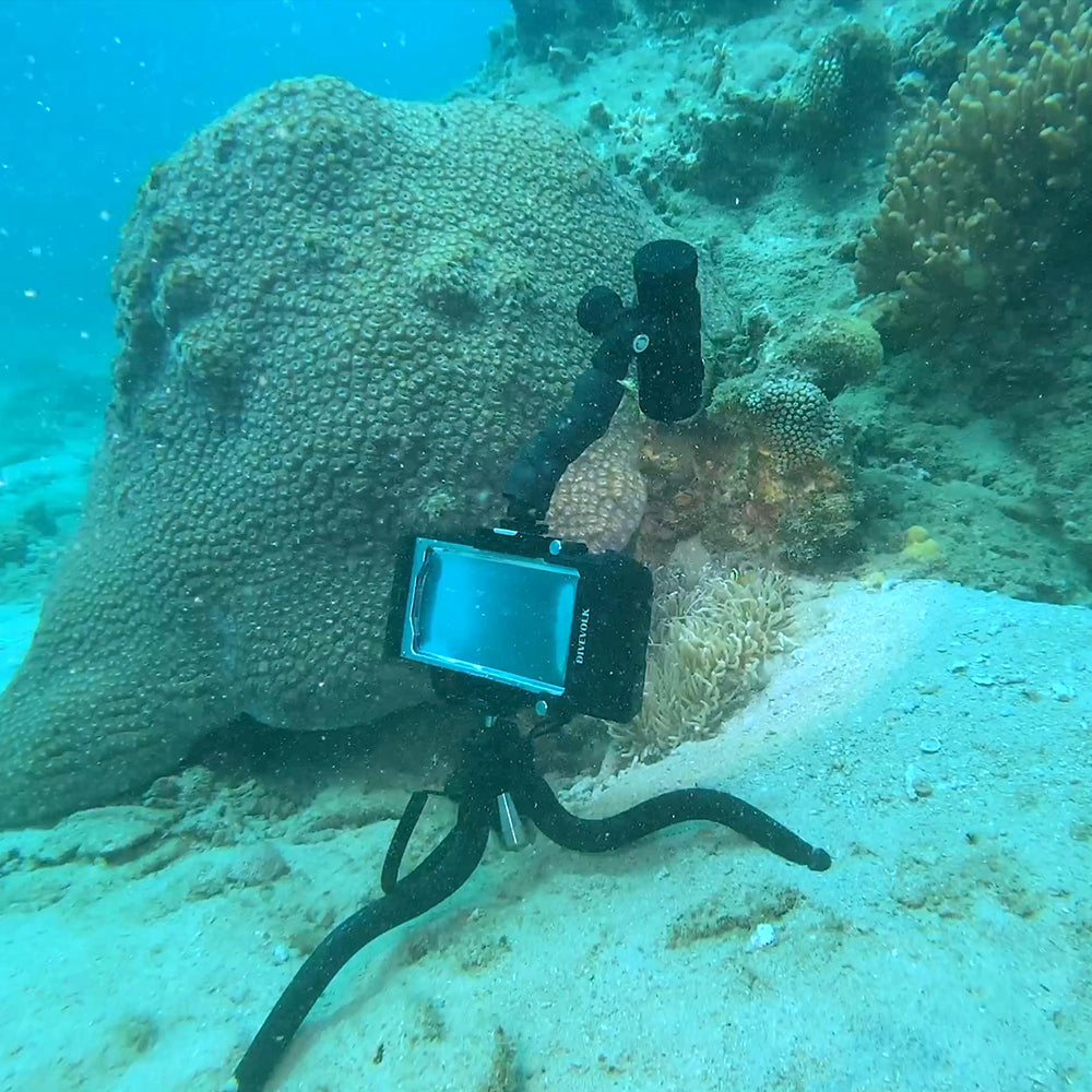 DiveVolk underwater light arm on coral reef. Diving photo equipment.