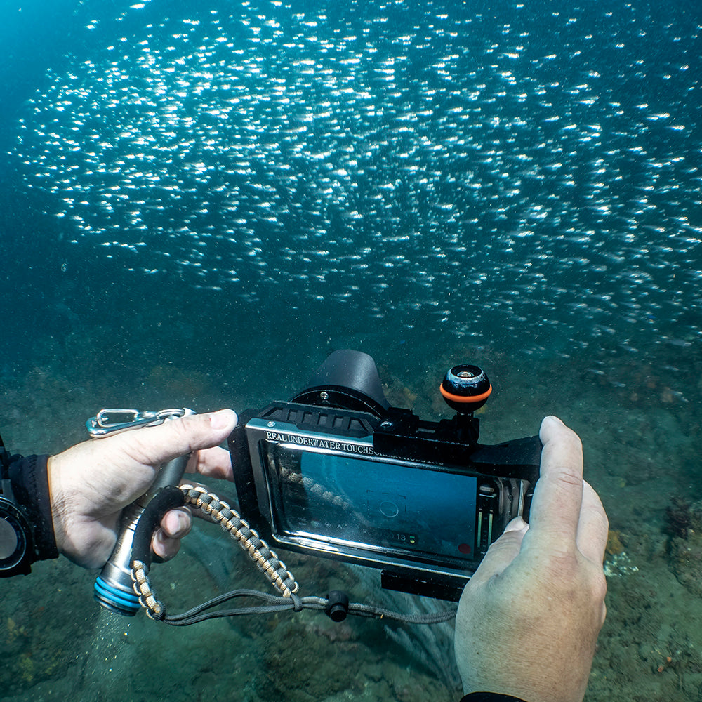 DiveVolk X0.6 lens capturing school of fish underwater