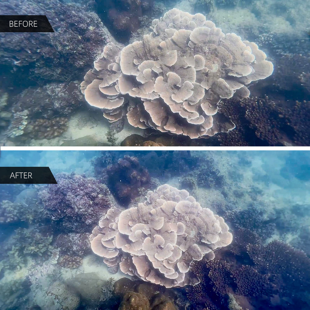 SeaTouch 4 Max: Underwater coral photo, before and after, diving light