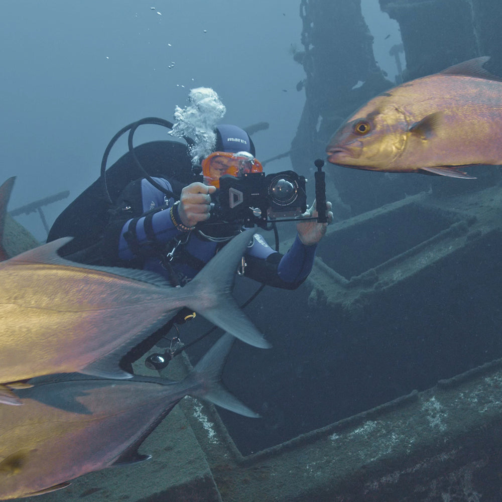 Diver using SeaTouch 4 Max housing to film fish underwater.