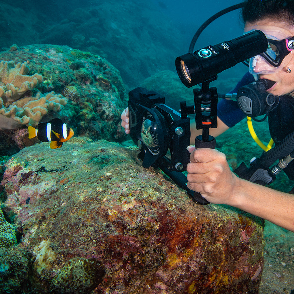 Diver filming clownfish with DiveVolk underwater housing