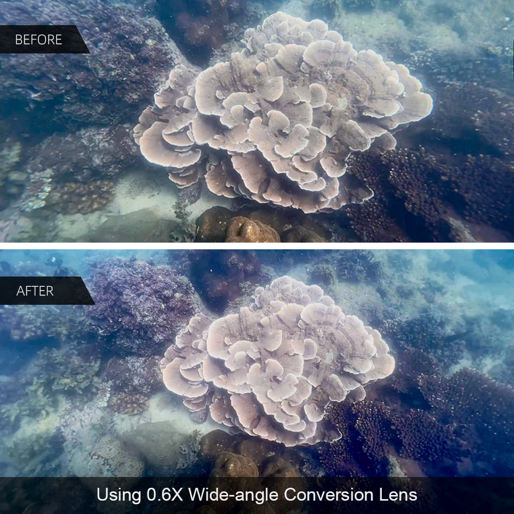 Coral before and after color correction with DiveVolk lens.