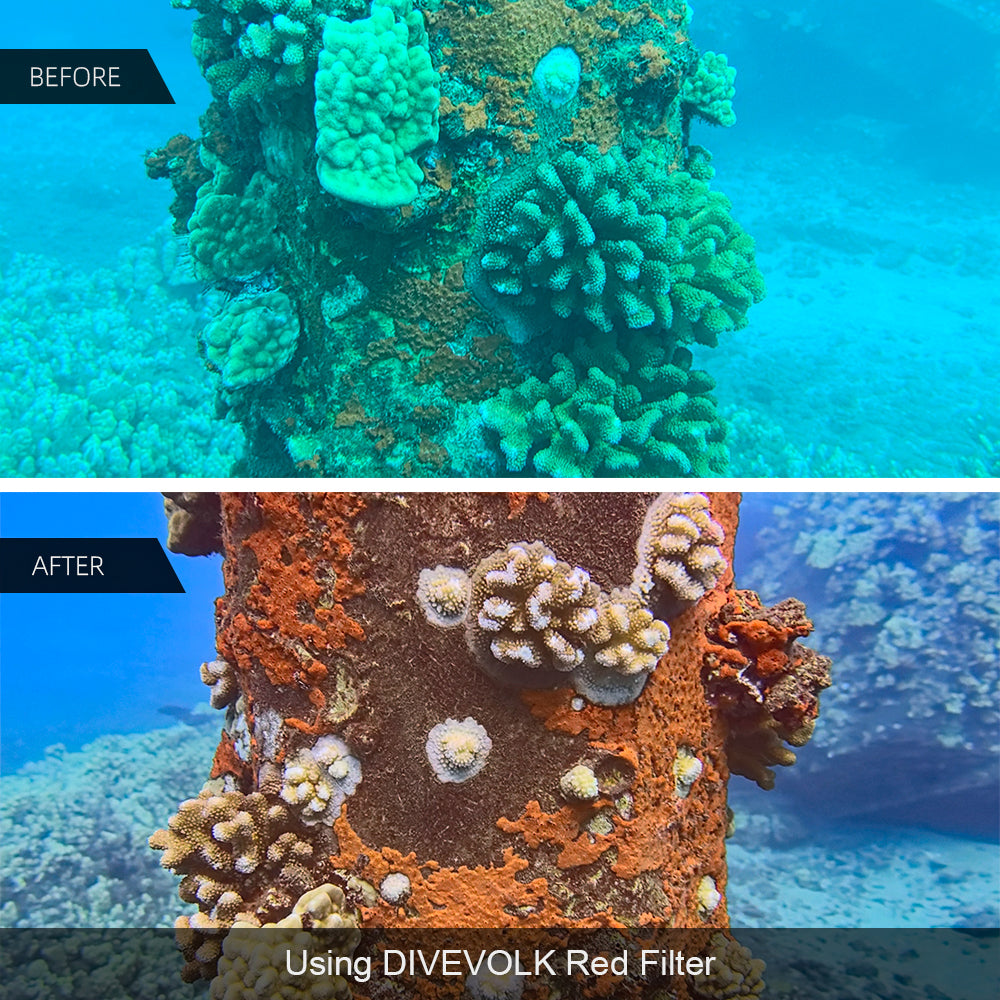 DiveVolk red filter underwater housing: before & after color correction.